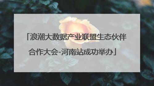 浪潮大数据产业联盟生态伙伴合作大会-河南站成功举办