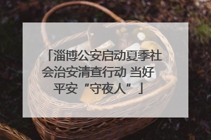 淄博公安启动夏季社会治安清查行动 当好平安“守夜人”