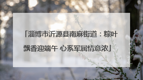 淄博市沂源县南麻街道：粽叶飘香迎端午 心系军属情意浓