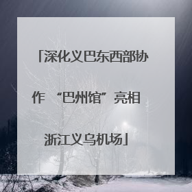 深化义巴东西部协作 “巴州馆”亮相浙江义乌机场