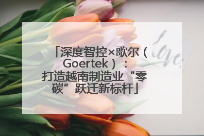 深度智控×歌尔（Goertek）：打造越南制造业“零碳”跃迁新标杆