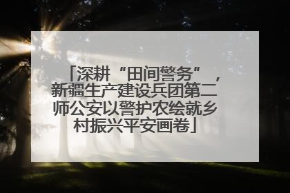 深耕“田间警务”，新疆生产建设兵团第二师公安以警护农绘就乡村振兴平安画卷