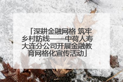深耕金融网格 筑牢乡村防线——中荷人寿大连分公司开展金融教育网格化宣传活动