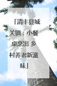 清丰县城关镇：小餐桌烹出 乡村养老新滋味