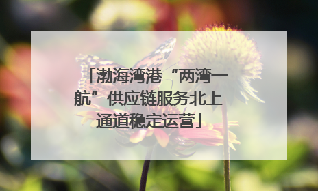 渤海湾港“两湾一航”供应链服务北上通道稳定运营