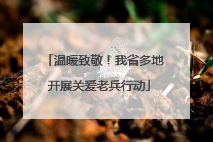 温暖致敬！我省多地开展关爱老兵行动