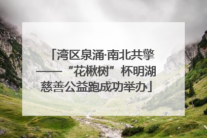 湾区泉涌·南北共擎——“花楸树”杯明湖慈善公益跑成功举办