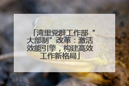 湾里党群工作部“大部制”改革：激活效能引擎，构建高效工作新格局