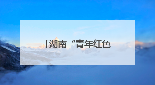 湖南“青年红色筑梦之旅”：8年深耕基层创造效益近5亿元
