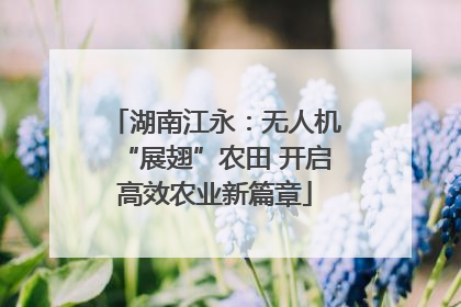 湖南江永：无人机“展翅”农田 开启高效农业新篇章