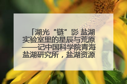 湖光“链”影 盐湖实验室里的星辰与荒原——记中国科学院青海盐湖研究所，盐湖资源化学实验室党总支书记、副主任刘忠