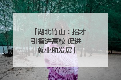 湖北竹山：招才引智进高校 促进就业助发展
