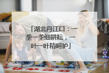湖北丹江口：一垄一垄细耕耘，一叶一叶精呵护