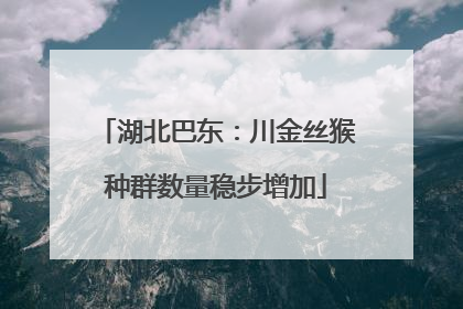 湖北巴东：川金丝猴种群数量稳步增加