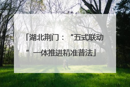 湖北荆门：“五式联动”一体推进精准普法