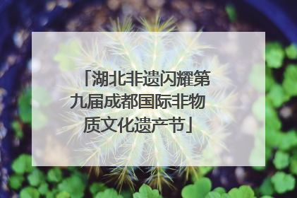 湖北非遗闪耀第九届成都国际非物质文化遗产节