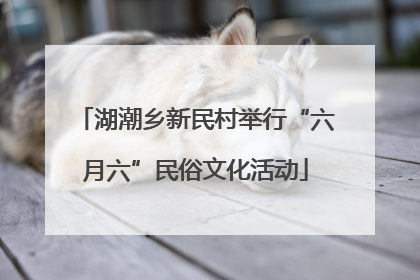 湖潮乡新民村举行“六月六”民俗文化活动