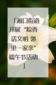 湘口街道开展“粽香话文明 邻里一家亲”端午节活动