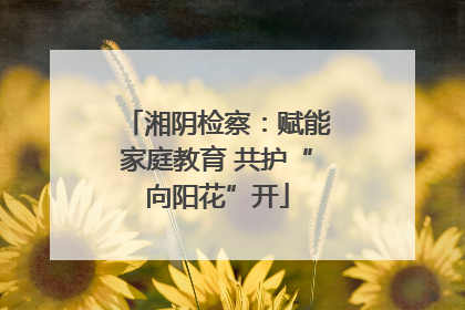 湘阴检察：赋能家庭教育 共护“向阳花”开