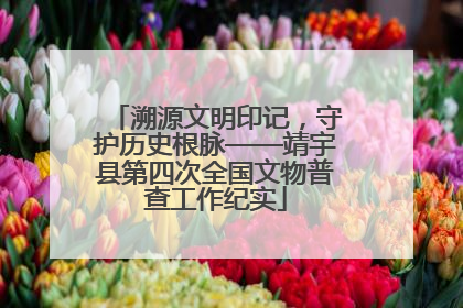 溯源文明印记，守护历史根脉——靖宇县第四次全国文物普查工作纪实