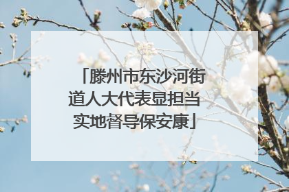 滕州市东沙河街道人大代表显担当实地督导保安康