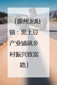 滕州龙阳镇：黑土豆产业铺就乡村振兴致富路