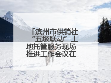 滨州市供销社“五级联动”土地托管服务现场推进工作会议在无棣县举办