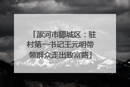 漯河市郾城区：驻村第一书记王元明带领群众走出致富路