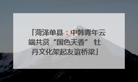菏泽单县：中韩青年云端共赏“国色天香” 牡丹文化架起友谊桥梁