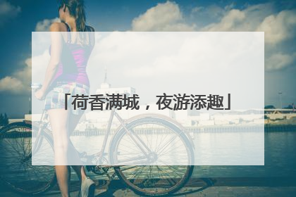 荷香满城，夜游添趣