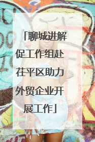 聊城进解促工作组赴茌平区助力外贸企业开展工作