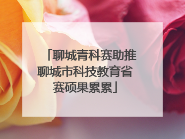 聊城青科赛助推聊城市科技教育省赛硕果累累