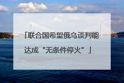 联合国希望俄乌谈判能达成“无条件停火”