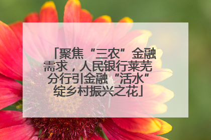 聚焦“三农”金融需求，人民银行莱芜分行引金融“活水”绽乡村振兴之花