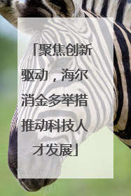 聚焦创新驱动，海尔消金多举措推动科技人才发展