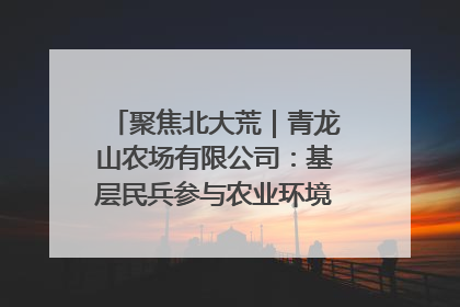 聚焦北大荒｜青龙山农场有限公司：基层民兵参与农业环境综合治理显效