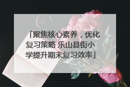 聚焦核心素养，优化复习策略 乐山县街小学提升期末复习效率
