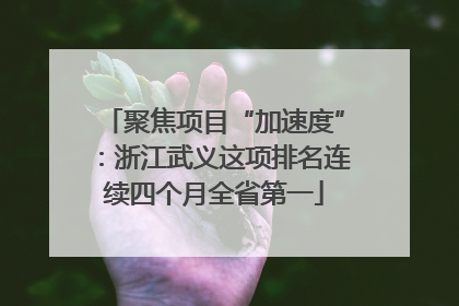 聚焦项目“加速度”：浙江武义这项排名连续四个月全省第一