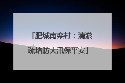 肥城南栾村：清淤疏堵防大汛保平安