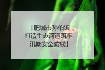 肥城市孙伯镇：打造生态河道筑牢汛期安全防线