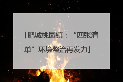肥城桃园镇：“四张清单”环境整治再发力