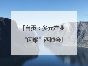 自贡：多元产业“闪耀”西博会