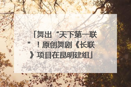 舞出“天下第一联”！原创舞剧《长联》项目在昆明建组