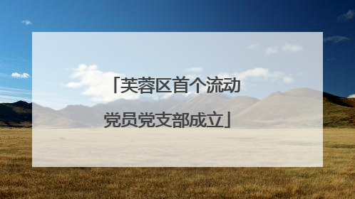 芙蓉区首个流动党员党支部成立