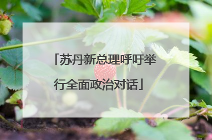 苏丹新总理呼吁举行全面政治对话