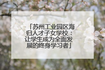 苏州工业园区海归人才子女学校：让学生成为全面发展的终身学习者