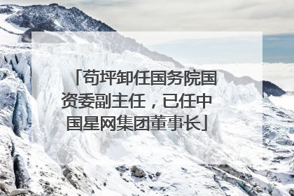 苟坪卸任国务院国资委副主任，已任中国星网集团董事长