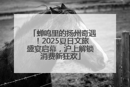 蝉鸣里的扬州奇遇！2025夏日文旅盛宴启幕，沪上解锁消费新狂欢