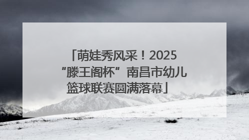 萌娃秀风采！2025“滕王阁杯”南昌市幼儿篮球联赛圆满落幕