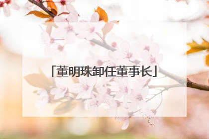 董明珠卸任董事长